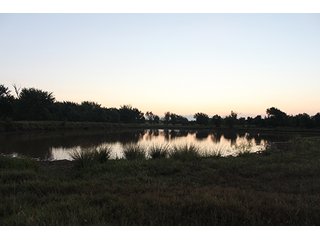 Tract 8 - LAND AUCTION - 440+/- Acres offered in 15 Tracts in Tulsa County